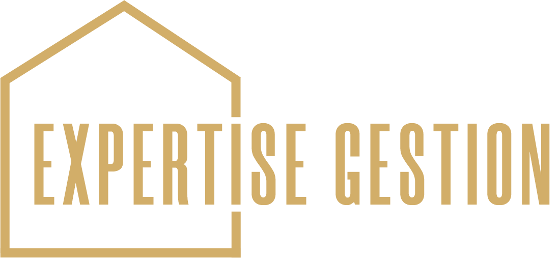 Expertise gestion